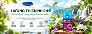 Nước hoa xịt phòng Auramax hương thiên nhiên