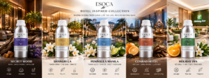 Tinh dầu Esoca dành cho khách sạn